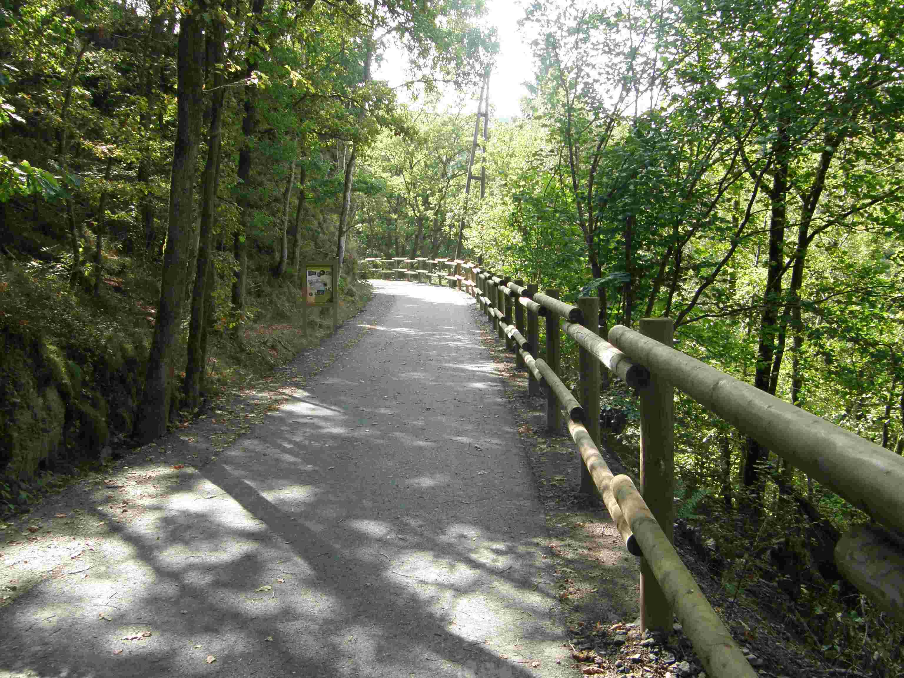 photo Ravel à Houffalize